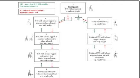 Fig. 1 Progression model for loaded sit-to-stand exercise (STAND). The starting point in STAND in the first session was level 5