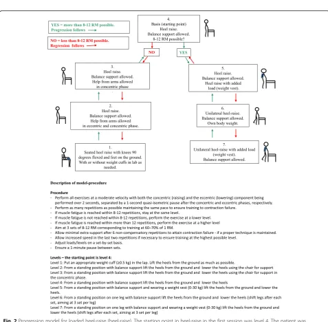 Fig. 2 Progression model for loaded heel-raise (heel-raise). The starting point in heel-raise in the first session was level 4