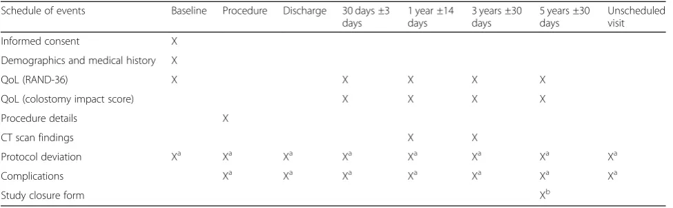 Table 1 Participant timeline