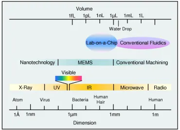 Figure 1-2 Dimensions of MEMS, nanotechnology, and lab-on-a-chip, compared to 