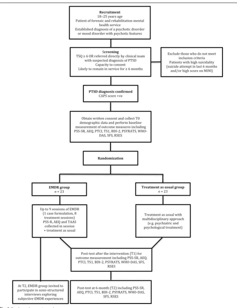 Fig. 1 (See legend on next page.)