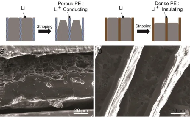 Fig. S3. Li stripping on composite Li electrode with porous and dense PE films. (a)  Schematics and the corresponding SEM image of composite electrode with porous PE  film after Li stripping