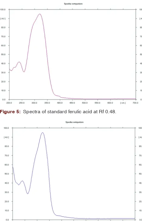 Figure 6: Spectra of ferulic acid from methanolic extract at Rf 0.48.