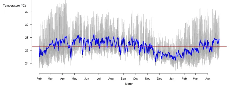 Figure 1: Daily variation in water temperature (grey line) in the Acono River in Trinidad at a site where guppies are found