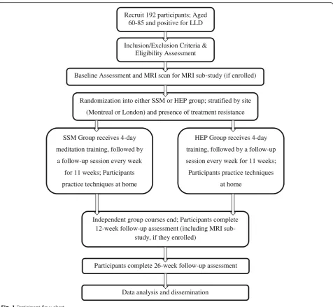 Fig. 1 Participant flow chart