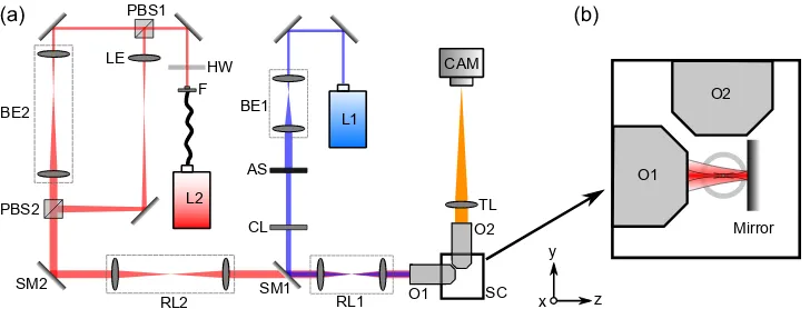 Fig. 1. (a) Optical setup. The right part of the diagram shows the imaging section, whichis based on the openSPIM project