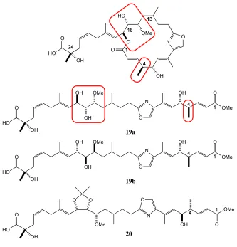 Figure 1.11: Published leiodolide A degradation products. Highlighted areas 
