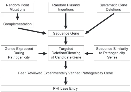 Figure 1. Representation of the experiments and criteria needed for a gene tobe entered into PHI-base.