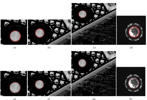 Figure 6. Results obtained by using our improved RCD algorithm and circularity. (a)-(d) Results obtained without calculating minimal circularity; (e)-(h) Results obtained by calculating the minimal circularity