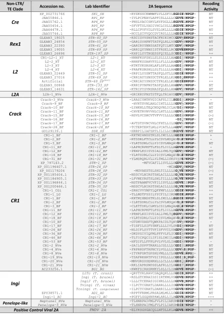Table 3.3 Non-LTRs containing 2A sequences  