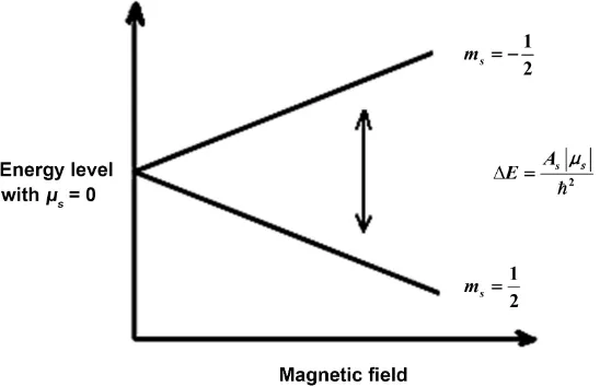Figure 1. Splitting of energy levels by intrinsic spin dynamics. 