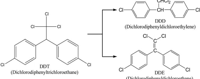 Figure 1. DDT and its major metabolites. 