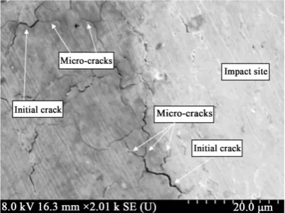Figure 13. SEM image of extensive network of microcracks observed at the edge of im-pact site of 6.07 wt% NiTi under normal impact