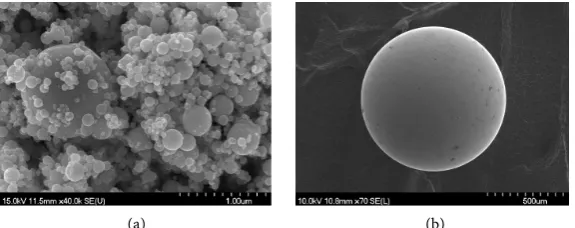 Figure 1. SEM images of (a) nano-NiTi particles and (b) WC-Co erodent particle respec-tively