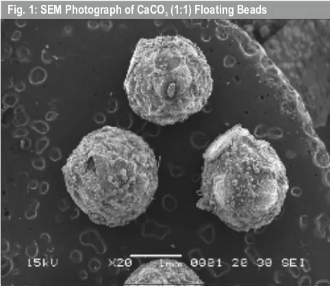 Fig. 1: SEM Photograph of CaCO  (1:1) Floating Beads 3