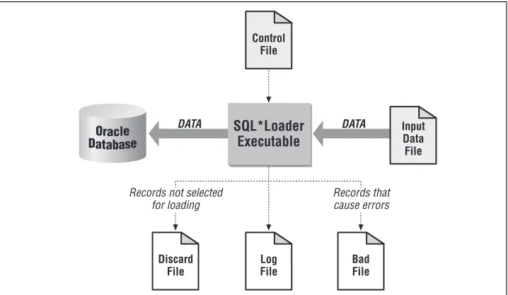 Figure 1-1. The SQL*Loader environment