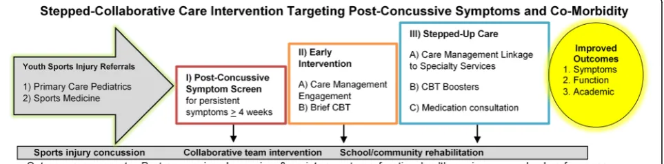 Fig. 1 CARE4PCS-II Collaborative Care Intervention model