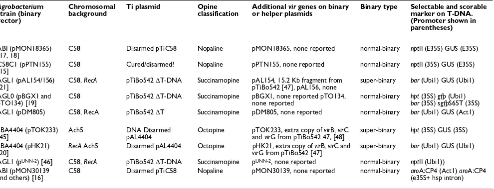 Table 2: Summary of Agrobacterium strains and vectors used to investigate wheat transformation.