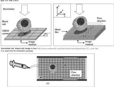 Figure 2-6: (a) A nucleated red blood cell directly on top of a CMOS camera. (b) CMOS camera with a column of nanoapertures