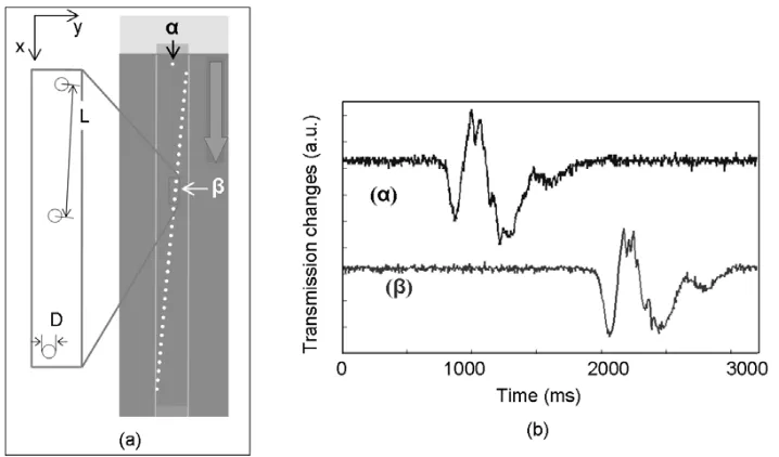 Figure 2-9: (a) Top view of the OFM: introduction of �, an isolated aperture. �: the corresponding aperture within the nanoaperture array, as explained in the text