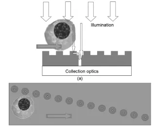 Figure 2-11: Illustration of SPP assisted OFM. (a) Side view of such a device. Surface corrugation is formed around the through-hole