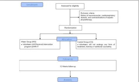 Fig. 2 Flow diagram of the randomized clinical trial. Diagram of the randomized clinical trial