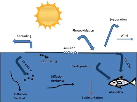 Figure 1.1.  Processes in the fate of weathered oil. 