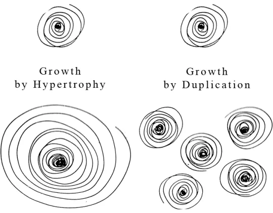 Figure 1: Adaptation of Krier’s Urban Growth Diagrams (from Architecture: Choice or Fate)