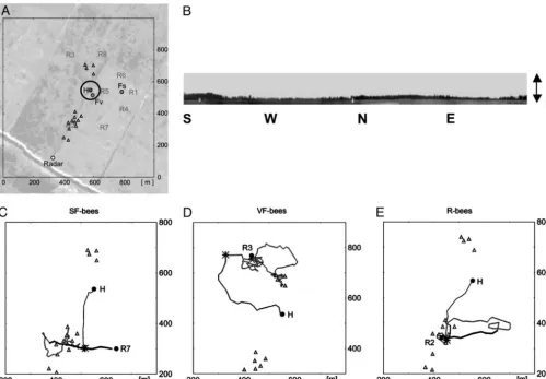 Fig. 1.Study site and three representative ﬂight paths. (A) Layout of the experimental site during the ﬁrst period