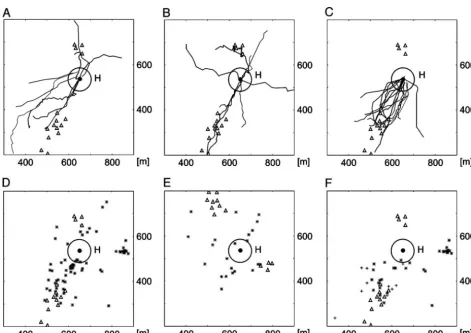 Fig. 2.Homing ﬂights and homing points of the three test groups. (tested with the normal arrangement of the tents