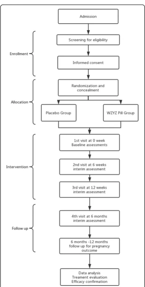 Fig. 1 Study flow chart