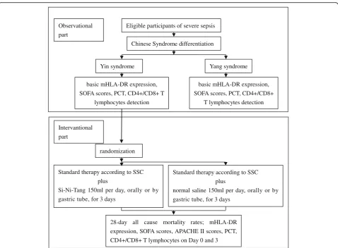 Fig. 1 Study flow chart. mHLA-DR monocyte human leukocyte antigen-DR, SOFA Sequential Organ Failure Assessment, APACHE Acute Physiologyand Chronic Health Evaluation, PCT procalcitonin, SSC Surviving Sepsis Campaign