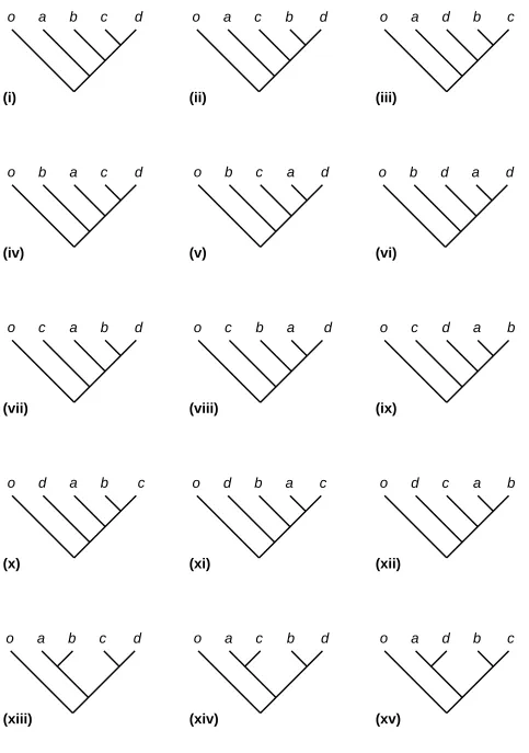 Figure 2. The 15 possible binary tree topologies for five species, a, b, c, d, e and o