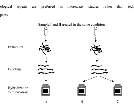 Figure 3. Two repeat schemas in microarray studies: Biological repeat (A and B, A and C) versus technical repeat (B and C)