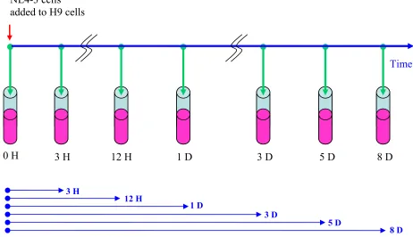Figure 5, Sampling schema of the time course study. H: hour, D: day 