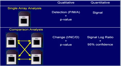 Figure 7, MAS data analysis output formats. For a comparison analysis of duplicate per condition study, there are total 4 files as an analysis result