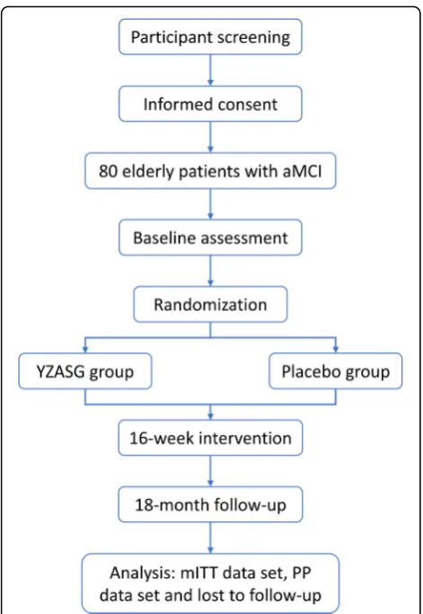 Fig. 2 Flowchart of the trial