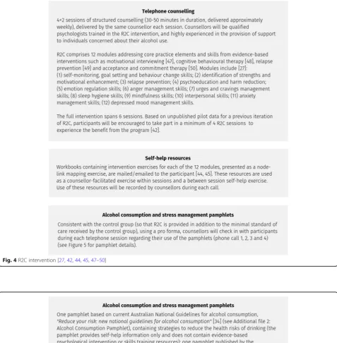 Fig. 4 R2C intervention [27, 42, 44, 45, 47–50]