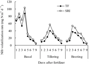 Figure 3. Average ammonia volatilization rates with four N rates after N fertilizer application at basal (May 19), tillering (June 29) and booting (July 29) stage under SRI and TF
