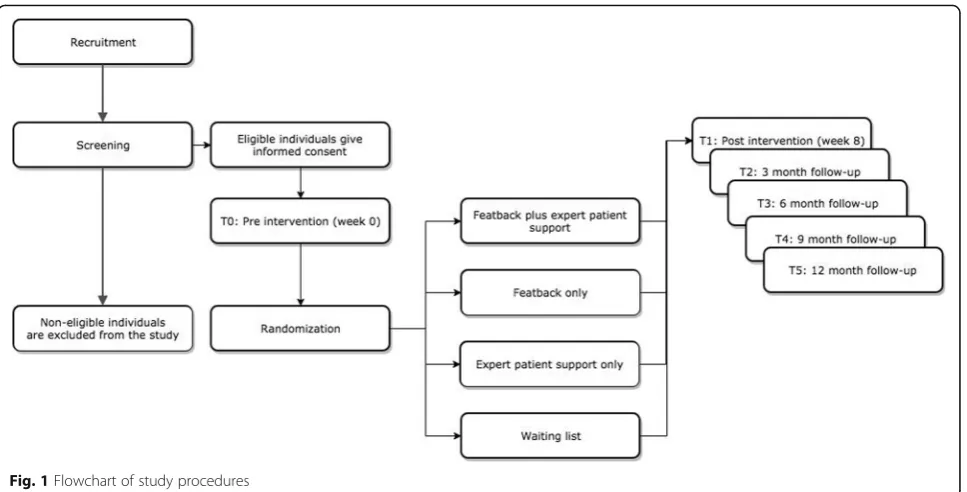 Fig. 1 Flowchart of study procedures