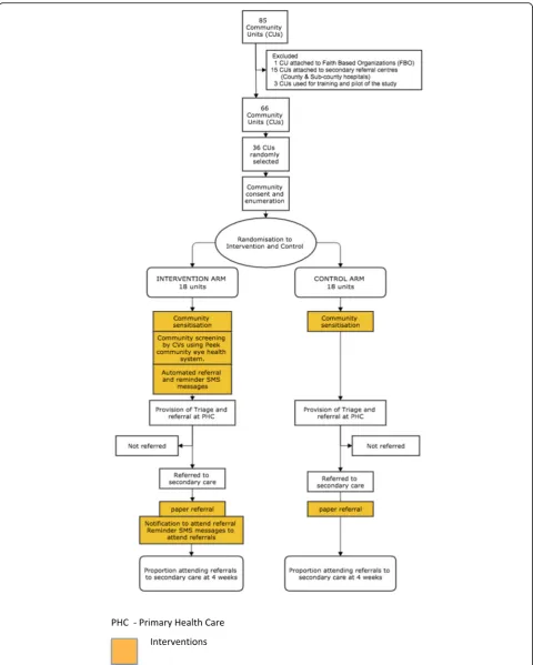 Fig. 1 Trial design outline: randomisation, interventions and flow of participants