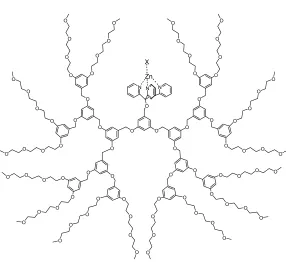 Figure 2.2 A dendritic structure containing a designed cleft to control the        ligand coordination behavior