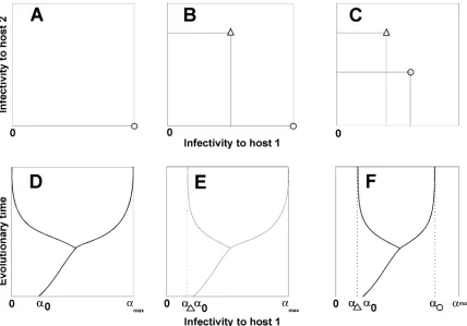 Fig. 2. The relationships between the trade-off curve and the evolutionary dynamics for three groups of sibling plant pathogens