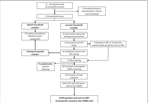 Fig. 3 Algorithm of the human immune deficiency virus (HIV) and multi-disease screening/prevention campaign