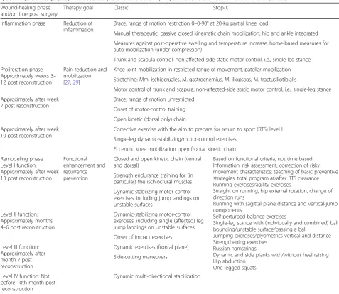 Table 1 Therapy/intervention regimen for both study arms. Standard/Classic rehabilitation strategies were conducted according tograde-A guidelines [27, 28]