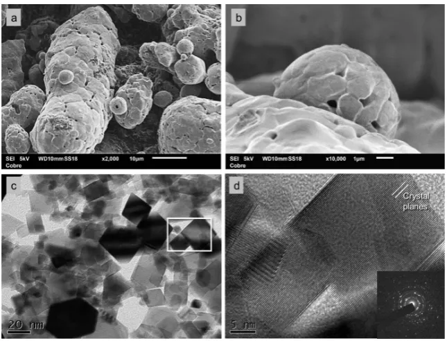 Figure 1. (a) and (b) SEM images of copper powder, irregular spheres with mean particle diameter of 39.86 µm; (c) and (d) TEM images of ceria powder, monocrystalline particles smaller than 25 nm