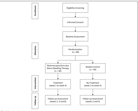 Fig. 1 Flowchart of study procedures