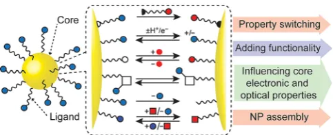 Figure 1. Cartoon representation of a monolayer-stabilized NP and postsyn-thetic methods for ligand modification