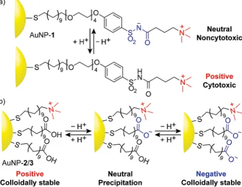 Figure 2. Manipulating NP surface charge by proton transfer. a) Homogene-ous monolayers of acylsulfonamide 1 allow switching between neutral (zwit-terionic) and cationic surface charges at mildly acidic pH values.[12] b) Mixedmonolayers of permanently cationic (2) and switchable carboxylic acid (3) li-gands allow switching between positive, neutral and negative surface charg-es, accompanied by reversible modulation of colloidal stability.[13]