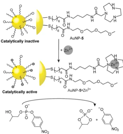 Figure 4. Selective modulation of catalytic activity based on Zn2+ complexa-tion to AuNP-bound azacrown ligands